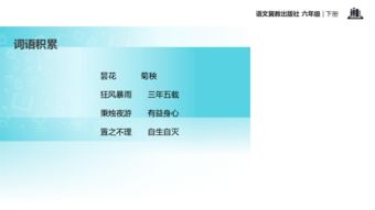 养花课题导入