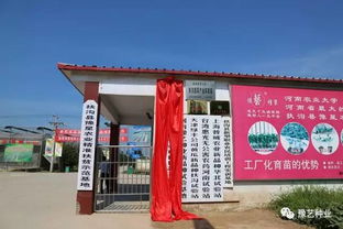 农业大学,河南,创新,创业