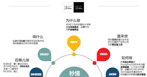 创新创业的案例和分析,创新创业的典型案例及分析,创新创业成功案例及分析
