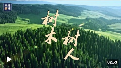 树人树木创业创新