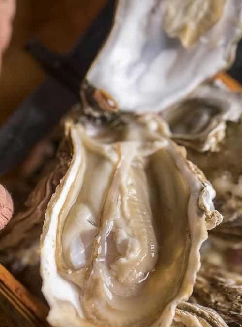 生蚝撬开后肉还要洗吗,生蚝打开后需要清洗 生蚝打开后能放多久