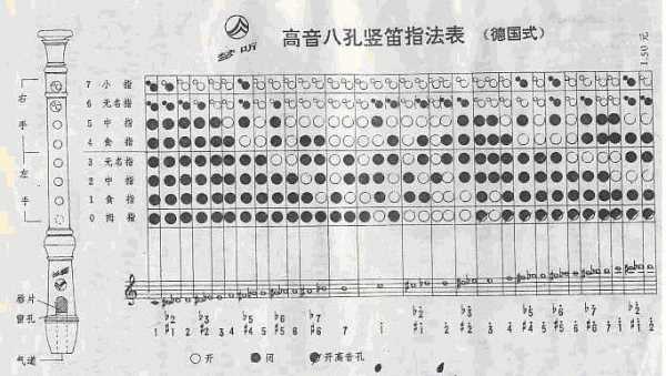 竖笛指法八孔指法图,八孔竖笛指法表怎么看图4