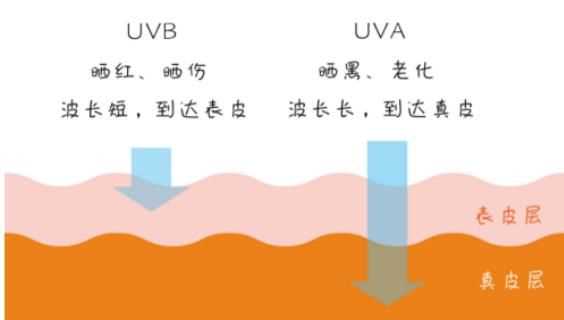 紫外线和电脑辐射有什么区别