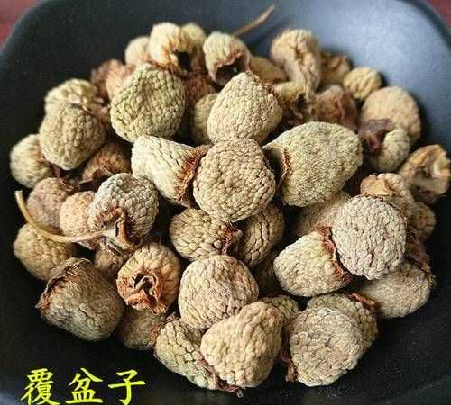 覆盆子的功效与作用和治病偏方大全