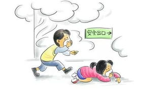 孩子们知道的安全知识有哪些