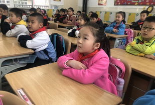 一级小学生校园安全知识问答