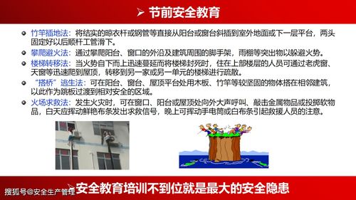 安全知识综合培训通知