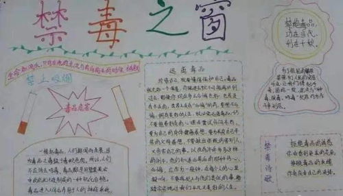 学校禁毒知识安全教育手抄报大全