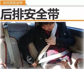 驾考安全带知识