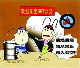 地铁安全知识读后感