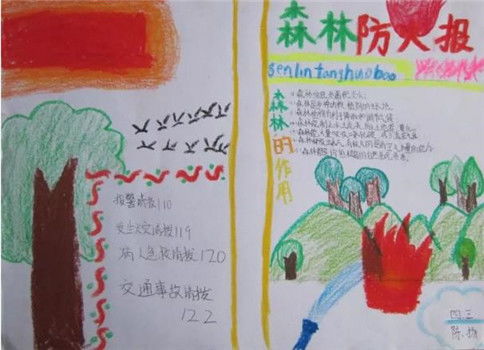 森林防火安全知识五级作文100字