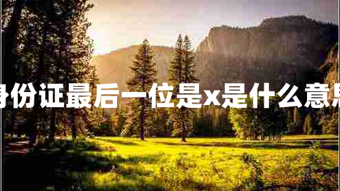 身份证最后一位是x是什么意思