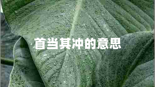 首当其冲的意思