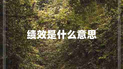 绩效是什么意思
