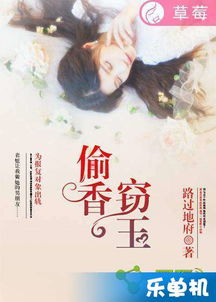 偷香窃玉,典故