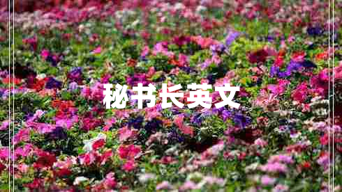 秘书长英文