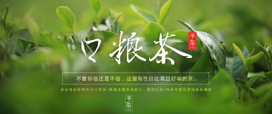 茶友会策划方案