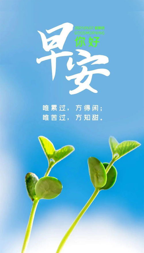 冬天早安语录正能量句子