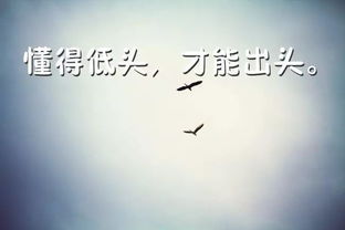 有关工作正能量早安的句子