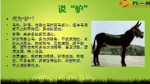 句子,能量,早会正