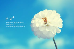 早安幽默正能量的句子说说心情,早安正能量的句子说说2021年,霸气正能量的早安说说句子