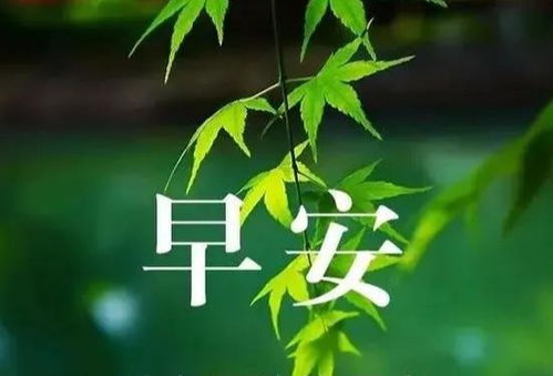 和优秀的人同行正能量的句子