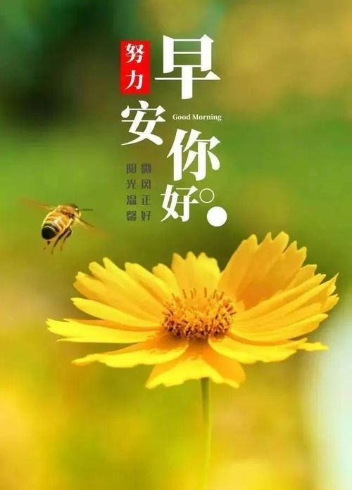 阳光心态正能量的句子简短