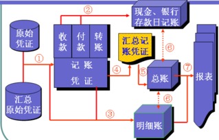 记账,凭证,分工,汇总