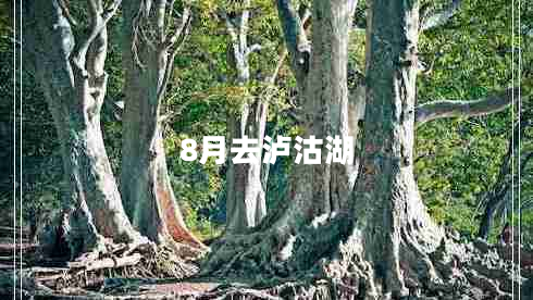8月去泸沽湖