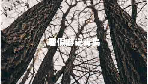 暑假游记青岛