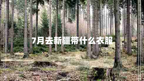 7月去新疆带什么衣服