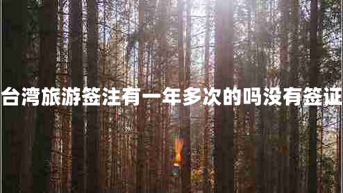 台湾旅游签注有一年多次的吗没有签证