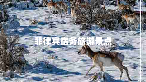 菲律宾宿务旅游景点