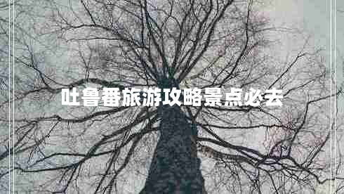 吐鲁番旅游攻略景点必去