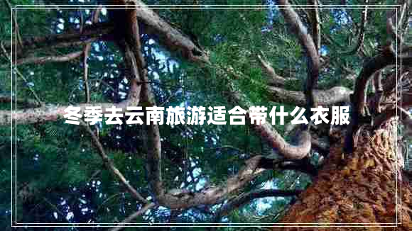 冬季去云南旅游适合带什么衣服