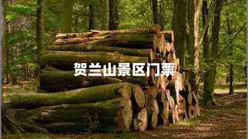 贺兰山景区门票