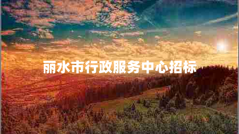 丽水市行政服务中心招标