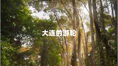 大连的游轮