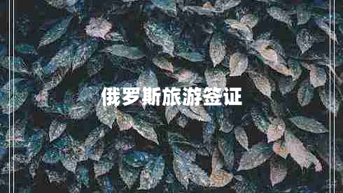 俄罗斯旅游签证