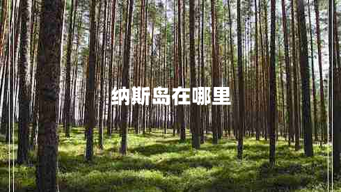 纳斯岛在哪里