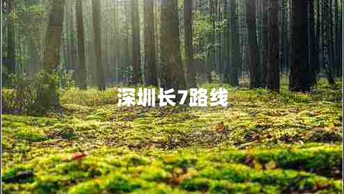 深圳长7路线