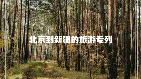 北京到新疆的旅游专列