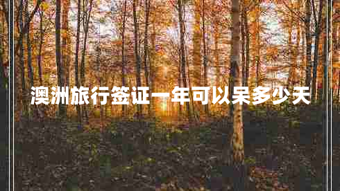 澳洲旅行签证一年可以呆多少天