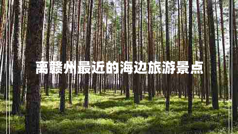 离赣州最近的海边旅游景点
