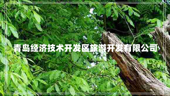 青岛经济技术开发区旅游开发有限公司
