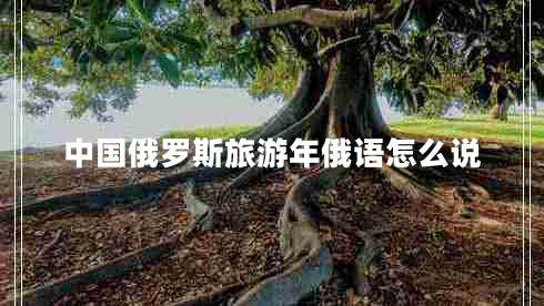 中国俄罗斯旅游年俄语怎么说