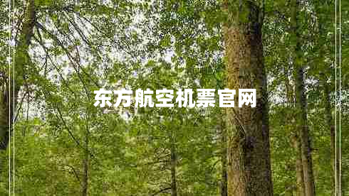 东方航空机票官网