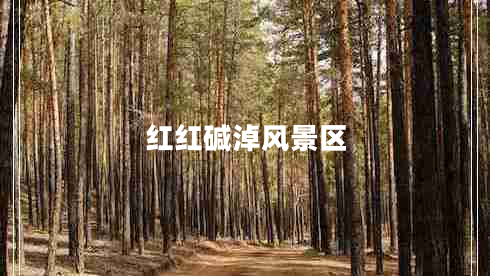 红红碱淖风景区