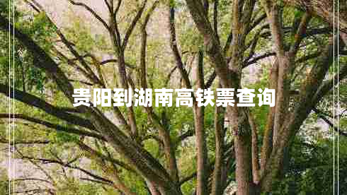 贵阳到湖南高铁票查询