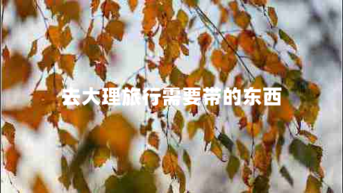去大理旅行需要带的东西